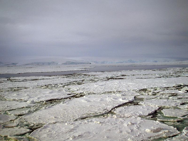 First-year floes.jpg - OLYMPUS DIGITAL CAMERA